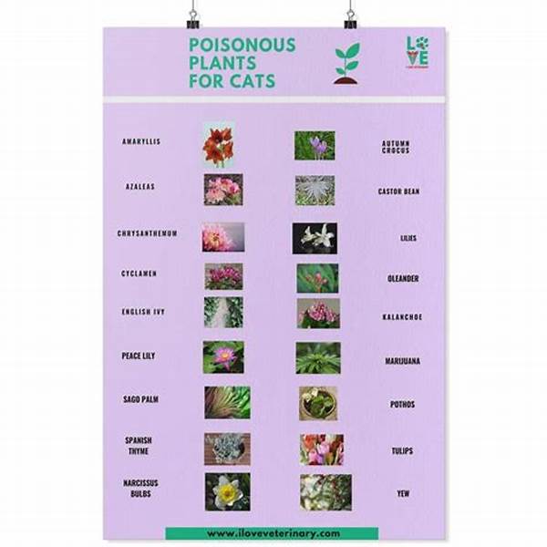 Allergy-free Flowers For Cats