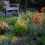 Best Native Flowers For Gardens