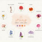 Choosing Flowers For Seasonal Decor