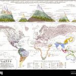 “geographical Distribution Of Wildflower Habitats”