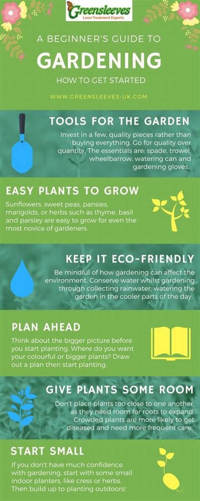 Novice Gardener’s Floral Guide
