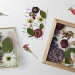Preserving Flowers For Long-term Keepsakes