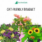 Safe Bouquet Choices For Cat Owners