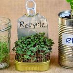 Zero-waste Gardening Gift Options