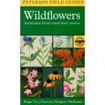Best Field Guides For Wildflower Study