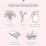 Best Practices For Fresh Blooms