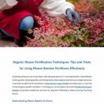 Best Seasonal Flower Fertilization Techniques