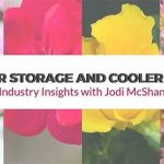 Best Temperature For Flower Storage