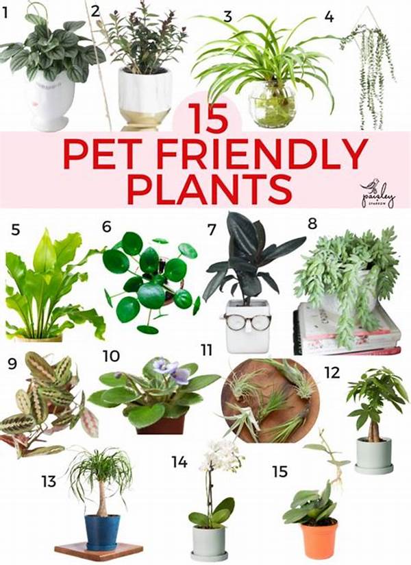 Cat-friendly Houseplant Options