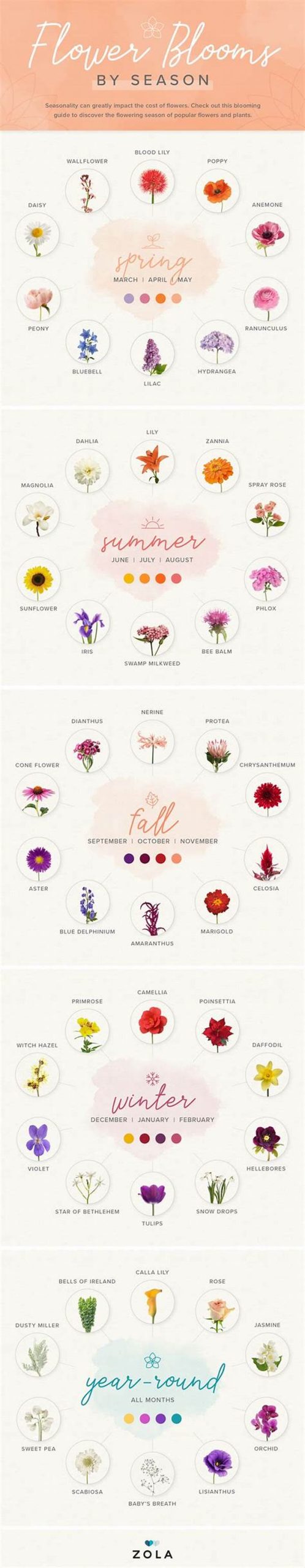 Choosing Flowers For Every Season