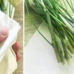Compostable Materials For Flower Wraps