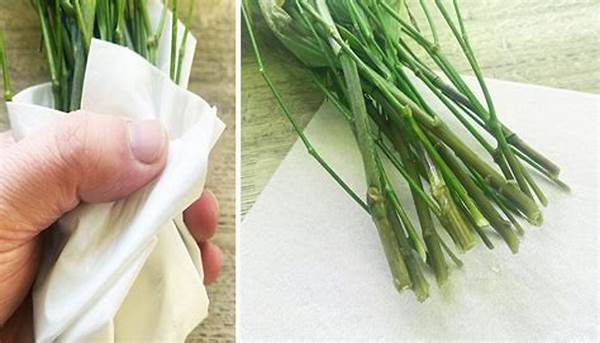 Compostable Materials For Flower Wraps