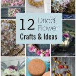 Creative Dried Flower Craft Projects