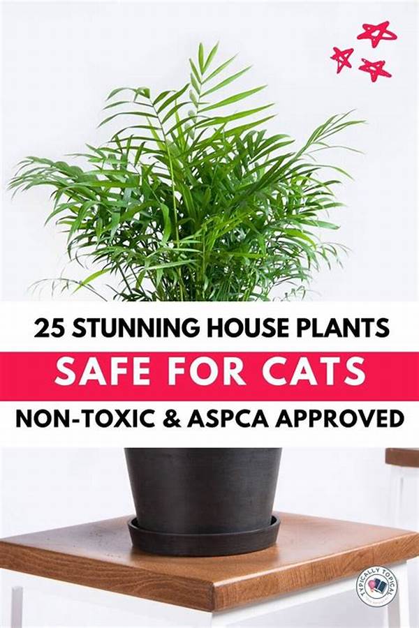 Decorative Plants Safe For Felines