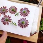 Diy Flower Preservation Techniques