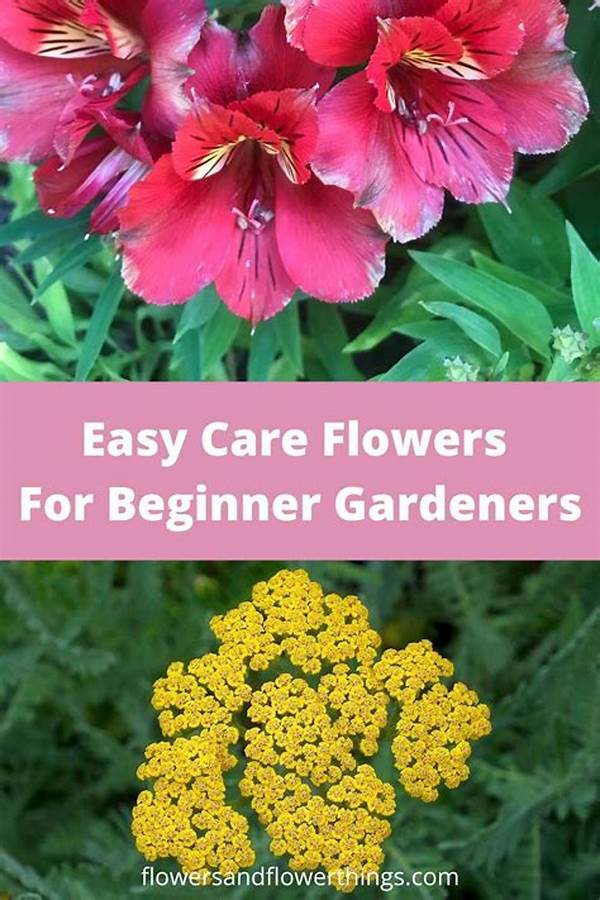 Easy-care Flowers For Beginners