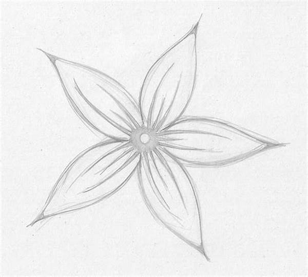 Easy Flowers For Beginners