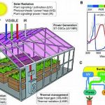 Efficient Light Utilization In Gardening
