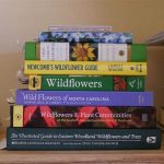 Exploring Nature With Wildflower Field Guides