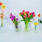 Extend Cut Flowers’ Lifespan