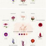 Fresh Blooms For Every Season