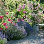 Garden-friendly Flowers With Fragrance
