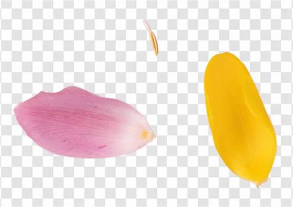 Handling Delicate Flower Petals
