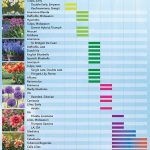 How To Feed Seasonal Blooms Effectively