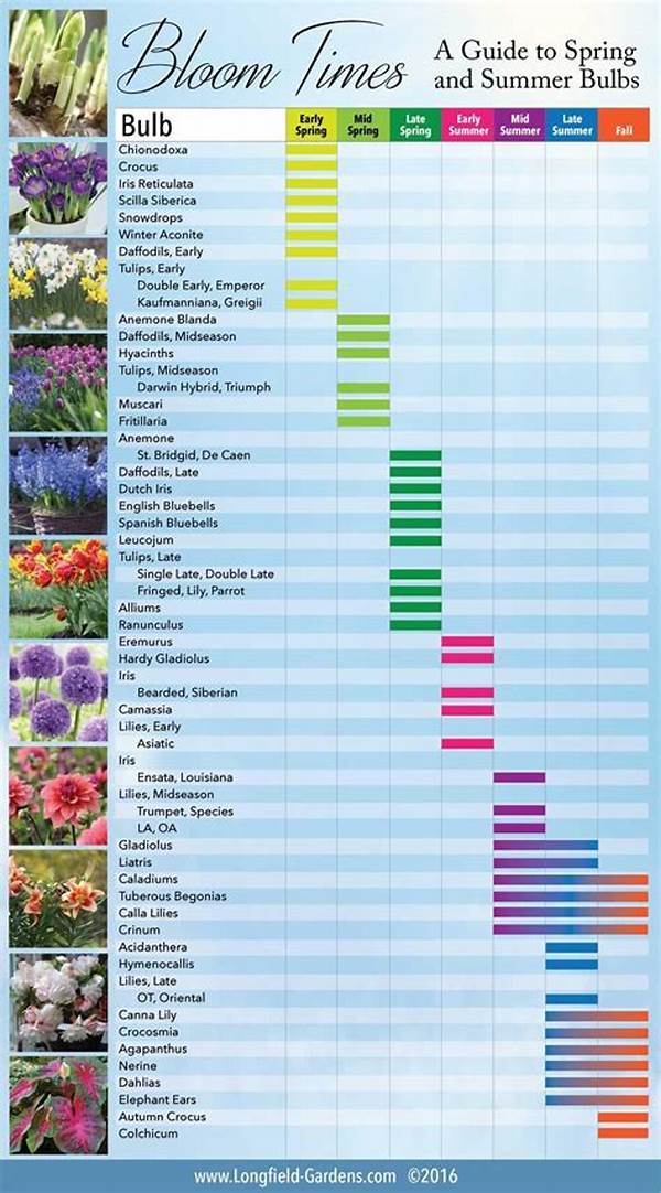 How To Feed Seasonal Blooms Effectively