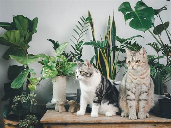 Indoor Greenery Safe For Felines