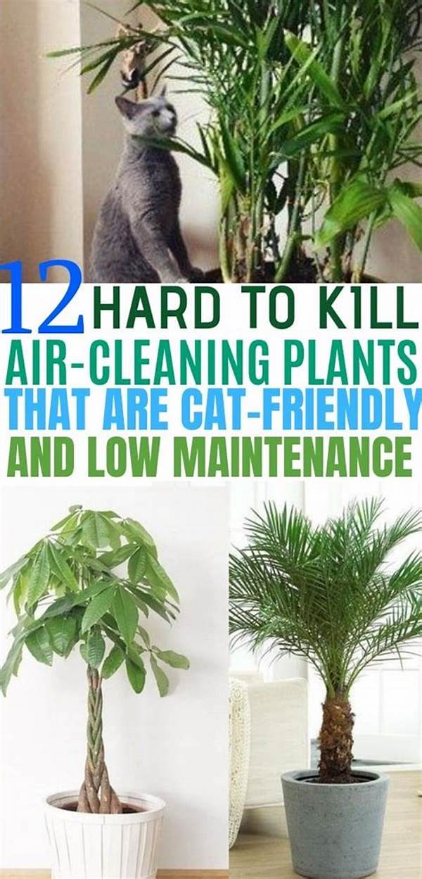 Indoor Plants Safe For Felines
