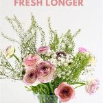 Keeping Bouquets Fresh Longer