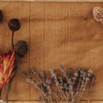 Long-lasting Botanical Display Tips