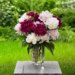 Long-lasting Freshness For Bouquets