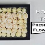 Long-term Flower Preservation Strategies
