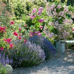 Most Fragrant Garden Flowers