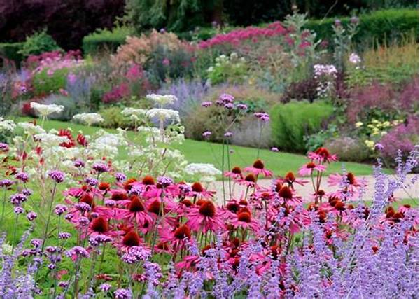 Native Wildflowers For Backyard Gardens