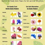 Non-toxic Floral Options For Cats