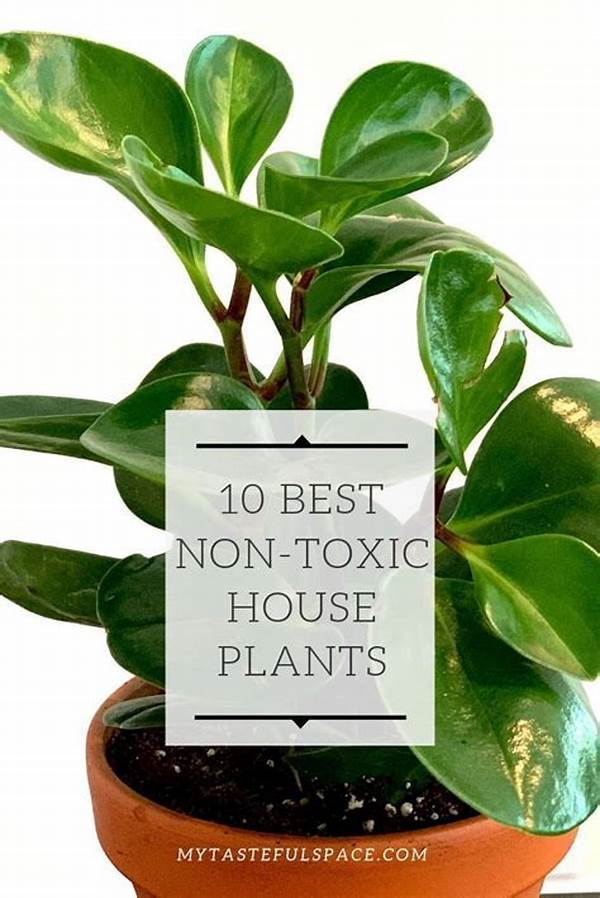 Non-toxic Plants For Household Pets