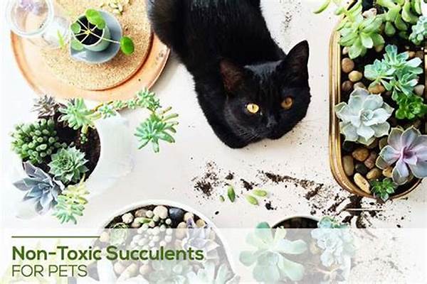 “non-toxic Succulents For Pets”