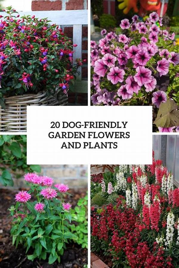 Pet-friendly Flowering Plant Choices