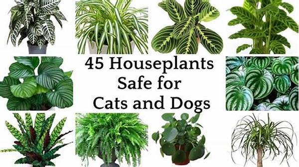 Pet-safe Decorative Plant Varieties