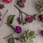 Preserving Fresh Flower Bouquets