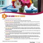 Proper Care For Cut Flowers