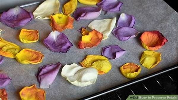 Proper Techniques For Preserving Petals