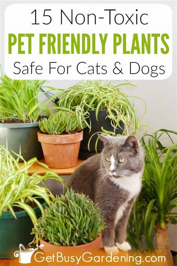 Safe Indoor Plants For Pets