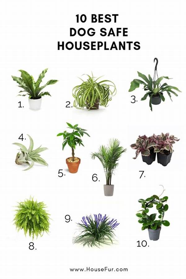 Safe Plants For Pet-friendly Homes