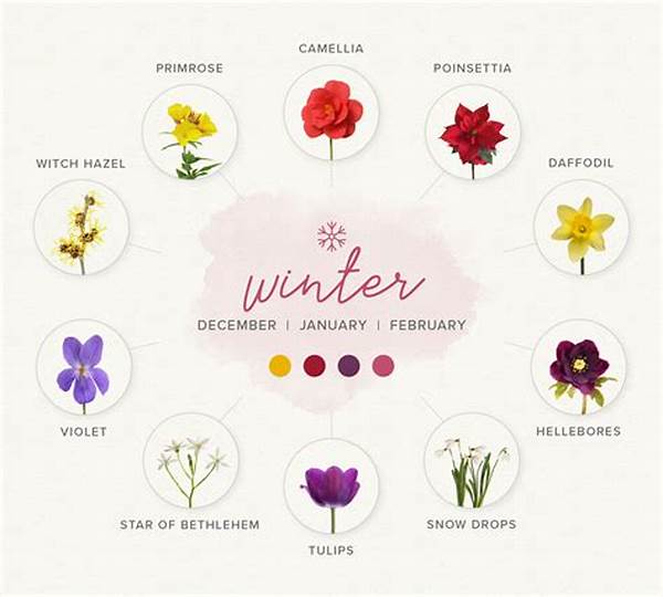 Seasonal Flower Food Application Tips