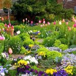 Seasonal Flower Garden Design Ideas