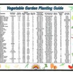 Seasonal Garden Planning Guide